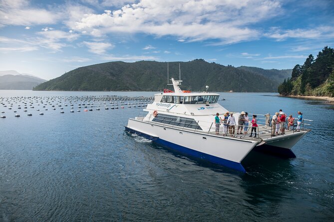Marlborough Icons Tour - Wine tasting + Cruise - Is the $198.58 price good value?