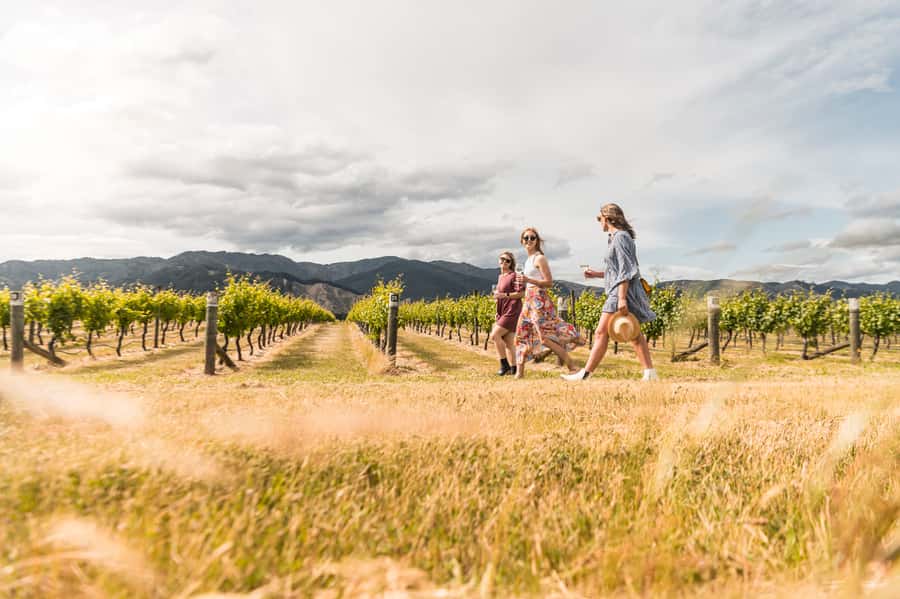 Marlborough: Wineries Visit and Tasting Session - Key points at a glance
