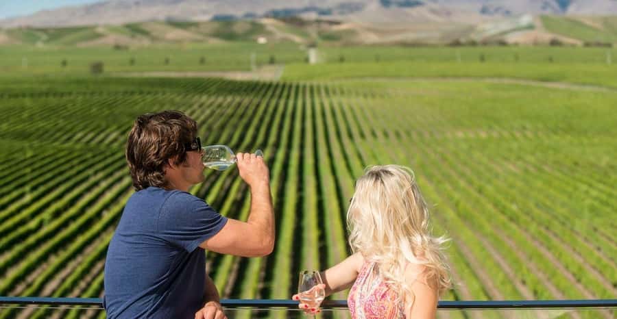 Marlborough: Wineries Visit and Tasting Session - Second and third stops: comparing different winery styles