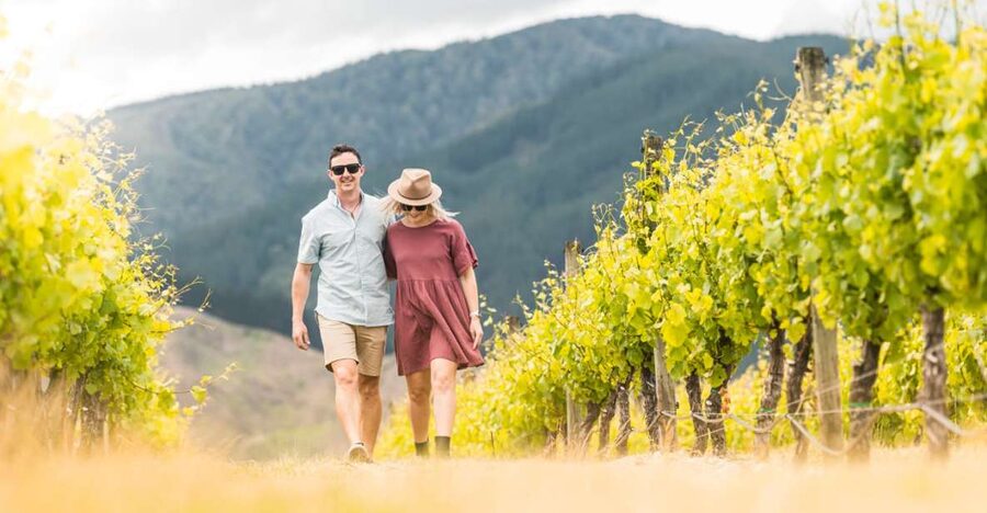Marlborough: Wineries Visit and Tasting Session - Food is the main gap in the plan