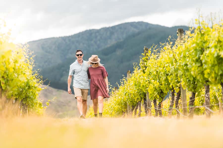 Marlborough: Wineries Visit and Tasting Session - The 12:30 pickup and ride into wine country