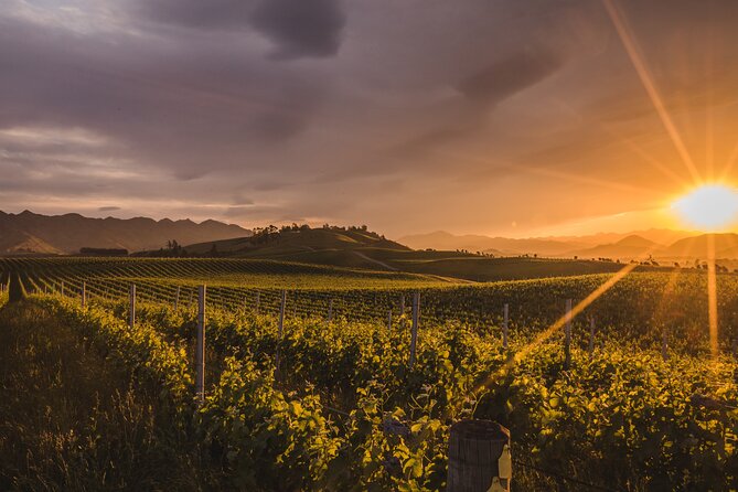Marlborough Winery Tour - A Day of Cuisine & Wine 6hrs - Meeting Chris or Bill on the road