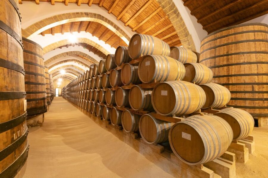 Marsala: Florio Winery Tour with Food-Paired Wine Tastings - Walking through the four cellar climates