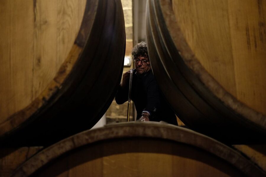 Marsala: Florio Winery Tour with Food-Paired Wine Tastings - What the Florio family story adds