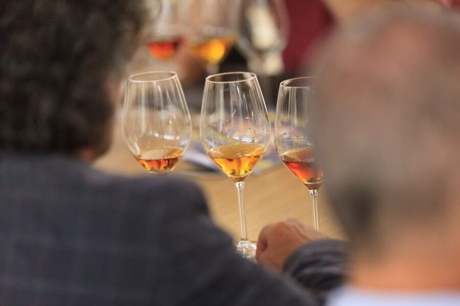 Marsala: Florio Winery Tour with Local Wine Tasting - Three wines and small Sicilian food pairings