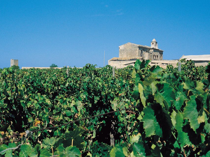 Marsala: Winery Tour with Wine Tasting and Local Products - What the 45-minute Marsala winery visit includes