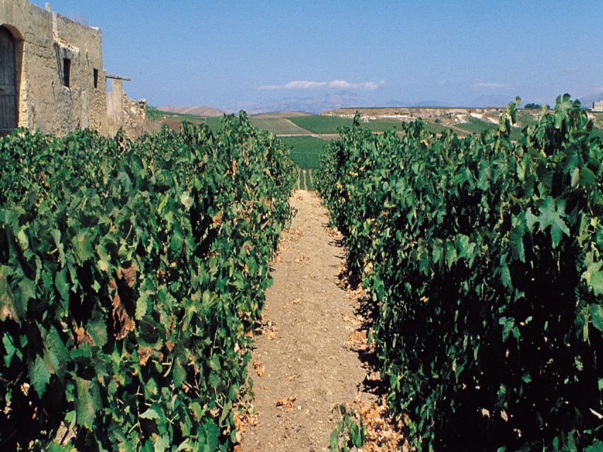 Marsala: Winery Tour with Wine Tasting and Local Products - Tasting refined DOC wines from Marsala