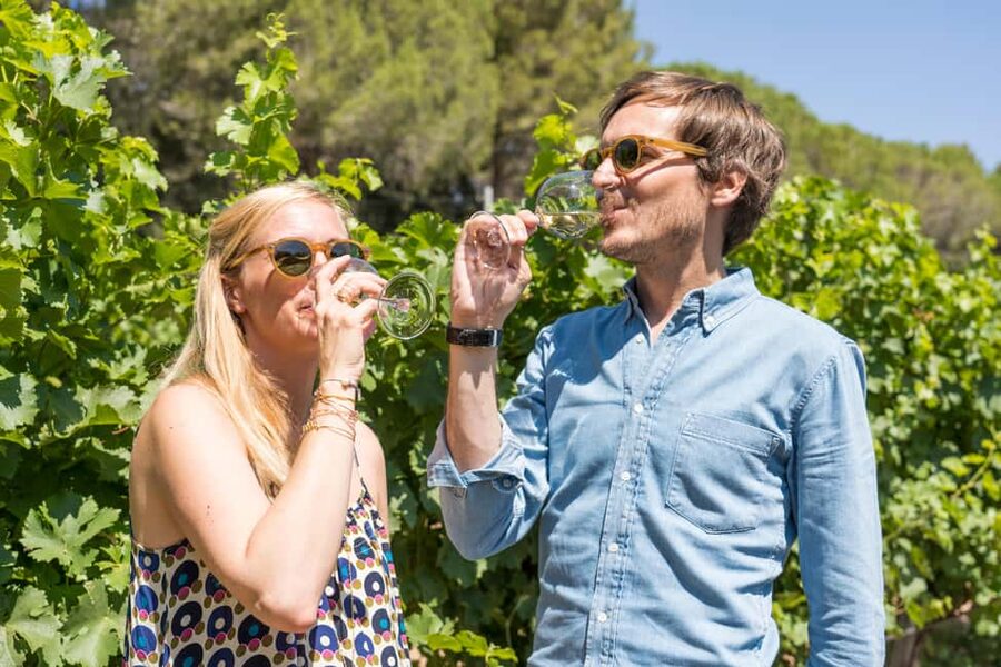 Marseille: Highlights & Wine Tasting Day Tour - What this Marseille and wine tour is really designed to do