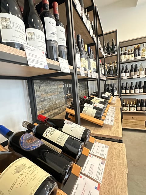 Marseille: Tailored Wine Tasting Experience in Top Wine Shop - A wine tasting in a real Marseille shop