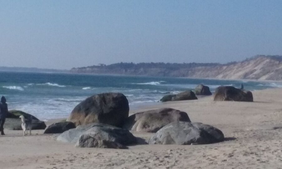 Martha's Vineyard: All Island Tour - Aquinnah Cliffs and the western viewpoint