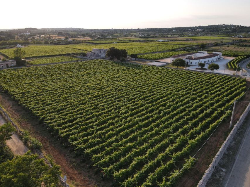 Martina Franca: Taste Wine & Local Specialities - Key points to know before booking