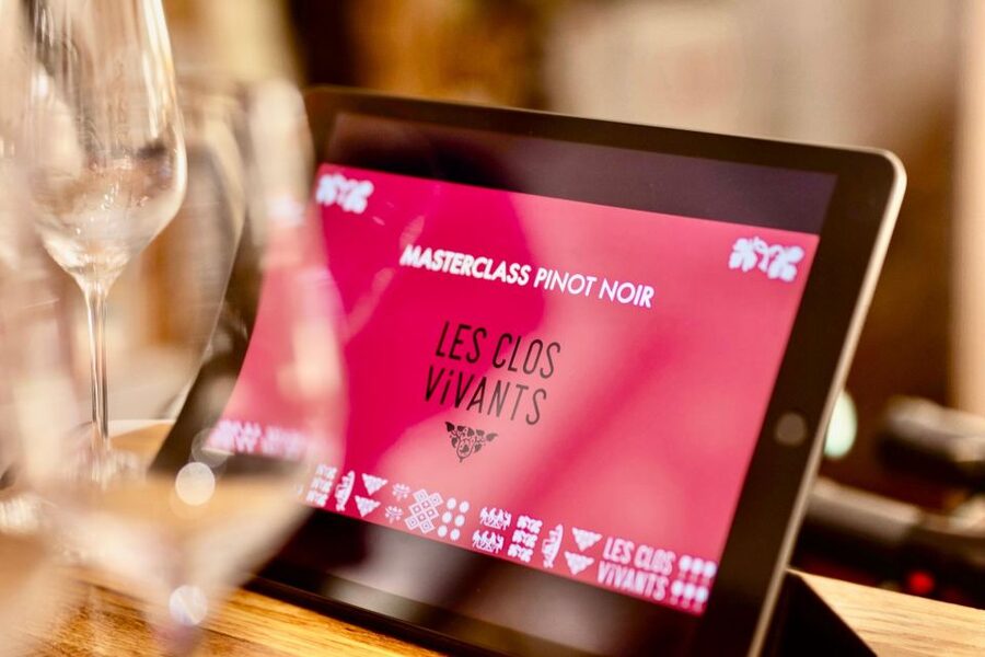 🍷 Masterclass Pinot Noir - Wine tasting in Dijon 🇫🇷 - From Village wine to Grand Cru