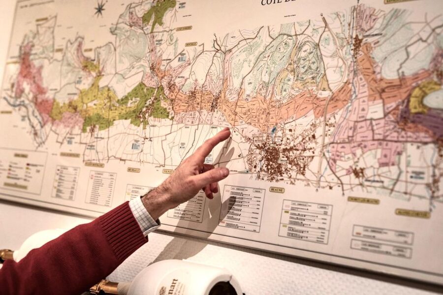 🍷 Masterclass Pinot Noir - Wine tasting in Dijon 🇫🇷 - Why the Climats matter