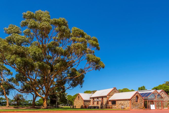 McLaren Vale and Glenelg Wine Tasting and Sightseeing (Half-day Afternoon) - Why this afternoon tour works so well