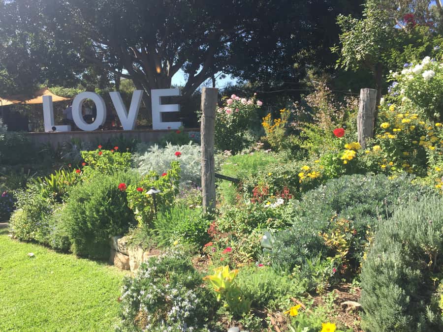 McLaren Vale: Small Group Wine Tour (Includes Lunch) - Afternoon stops and the optional gin finish