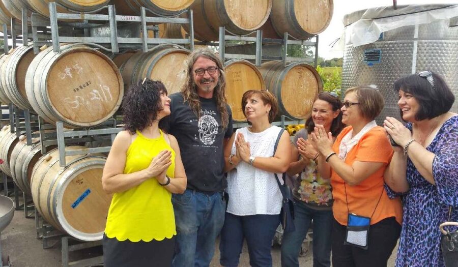 McLaren Vale: Small Group Wine Tour (Includes Lunch) - Weather, age limits, and who should book