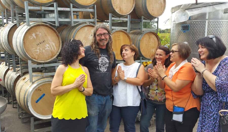 McLaren Vale: Small Group Wine Tour (Includes Lunch) - Should you book this McLaren Vale tour?