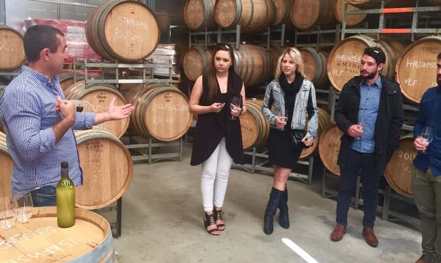 McLaren Vale: Small Group Wine Tour (Includes Lunch) - Starting the day in a Mercedes-Benz Valente