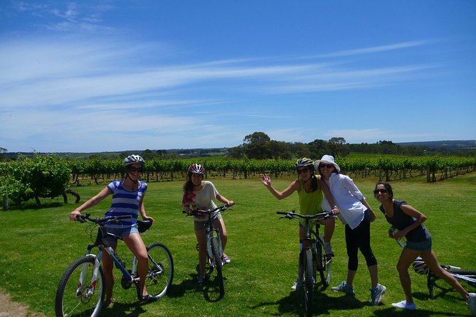 McLaren Vale Wine Tour by Bike - Two winery visits and a slower look at McLaren Vale