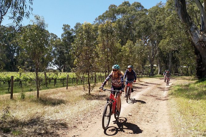 McLaren Vale Wine Tour by Bike - Lunch built around local produce