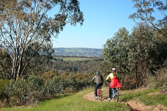 McLaren Vale Wine Tour by Bike - Choosing a final wine or beer stop