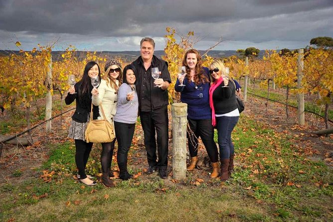 McLaren Vale Winery Small Group Tour with Wine Tasting and Lunch - Why McLaren Vale makes a strong day trip from Adelaide