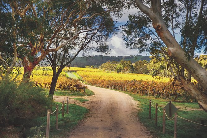 McLaren Vale Winery Small Group Tour with Wine Tasting and Lunch - The coastal drive through the Fleurieu Peninsula