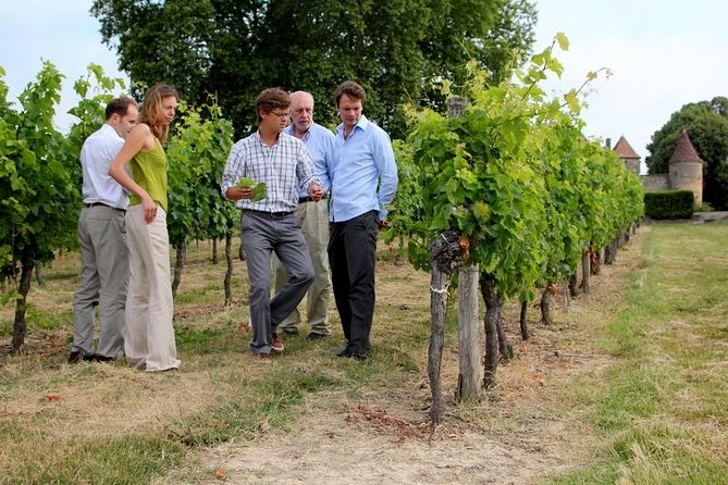 Medoc or Saint Emilion Wine Tasting and Chateau from Bordeaux - Médoc: château country along the Castle Road