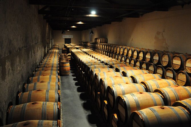 Medoc Region Wine Day Trip with Vineyard Visits & Tastings from Bordeaux - The afternoon tasting in Pauillac or Saint-Estèphe