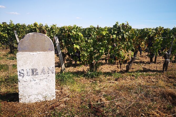 Medoc Region Wine Day Trip with Vineyard Visits & Tastings from Bordeaux - What the guides add to the day