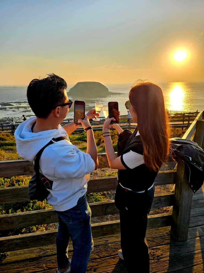 Melbourne: Boutique Phillip Island Wine, Dine & Penguin Tour - Why the Penguin Parade works so well as a finale
