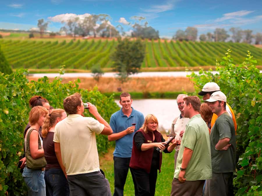 Melbourne: Full-Day Yarra Valley Wine Experience with Lunch - Why the guide matters more than you might expect