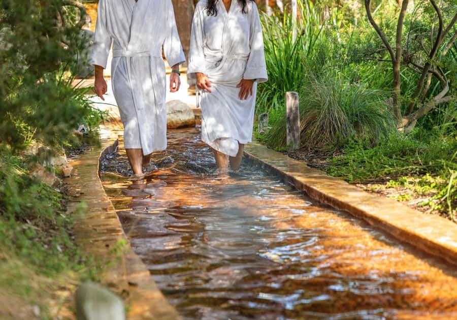 Melbourne: Peninsula Hot Springs with Lunch and Wine - Green Olive Estate turns lunch into a real stop