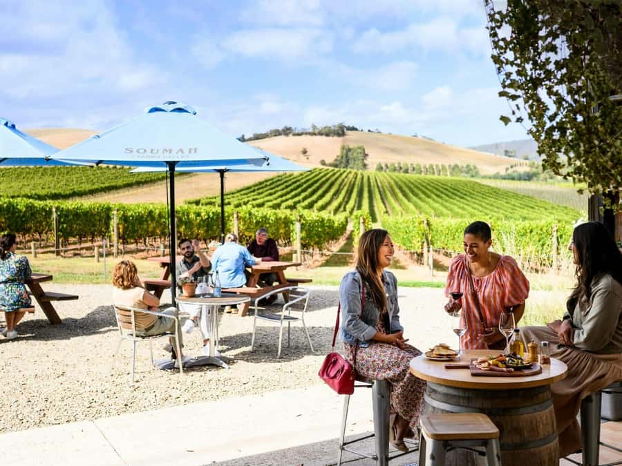 Melbourne: Yarra Valley Half-Day Wine Tour - Why this five-hour Yarra Valley trip works so well