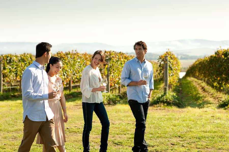 Melbourne: Yarra Valley Wine Bubbles & Kangaroos Tour - Who should book this tour