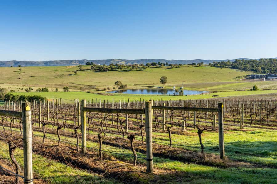 Melbourne: Yarra Valley Wine, Cider, Gin, Beer, & Choc Tour - Why this Yarra Valley tour feels more like a road trip