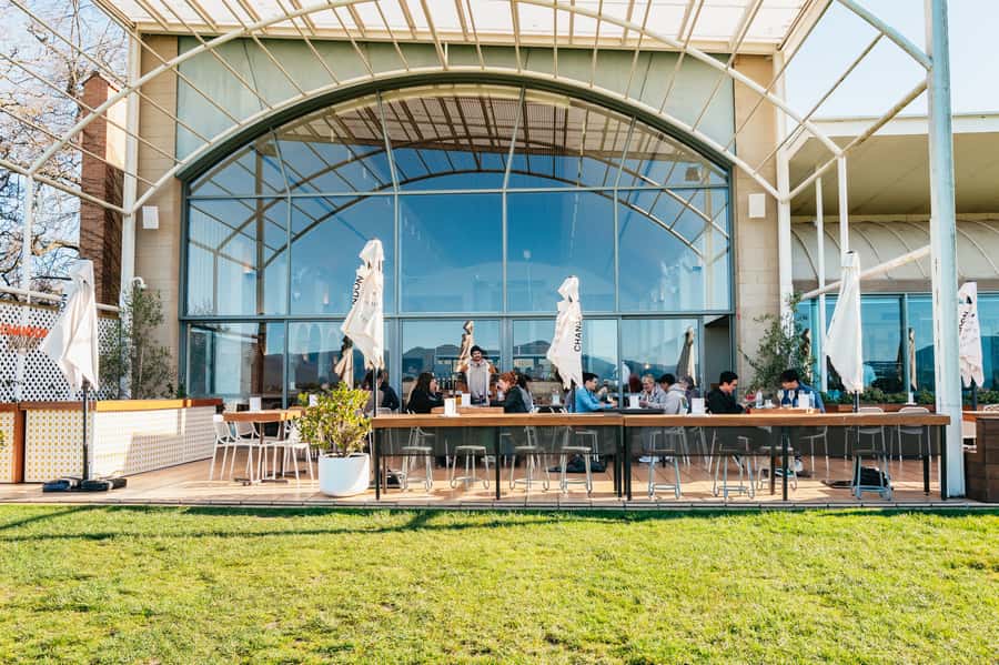 Melbourne: Yarra Valley Wine, Cider, Gin, Beer, & Choc Tour - Who should book this day out