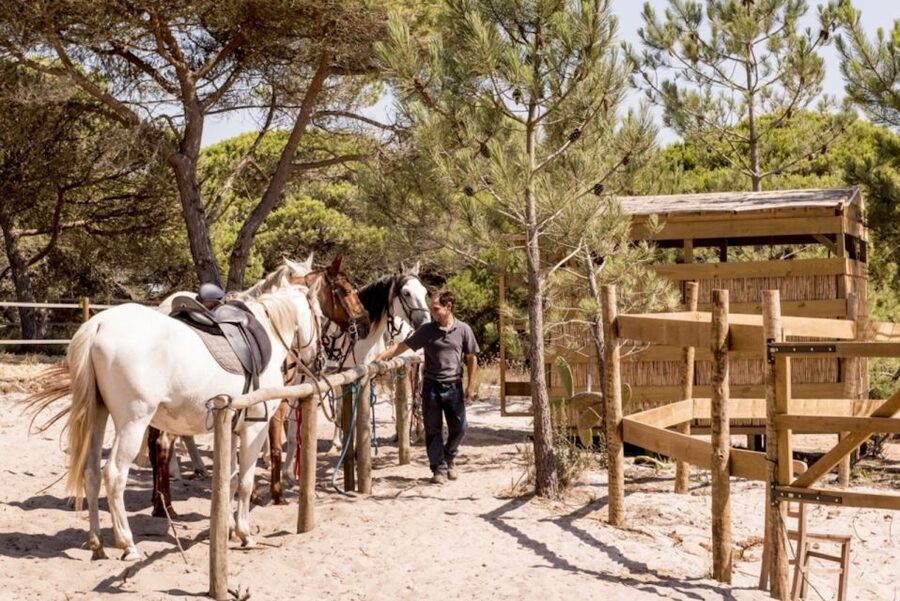 Melides: Horse Riding on the Beach with Wine Tasting - A Beach Ride With More Than Sand and Sea