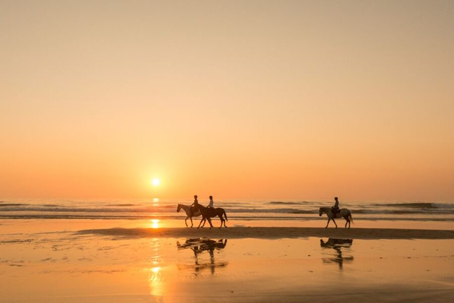 Melides: Horse Riding on the Beach with Wine Tasting - What the 90-Minute Route Includes