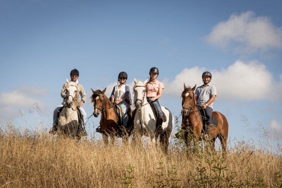Melides: Horse Riding on the Beach with Wine Tasting - Wine Tasting: The Part to Clarify Carefully