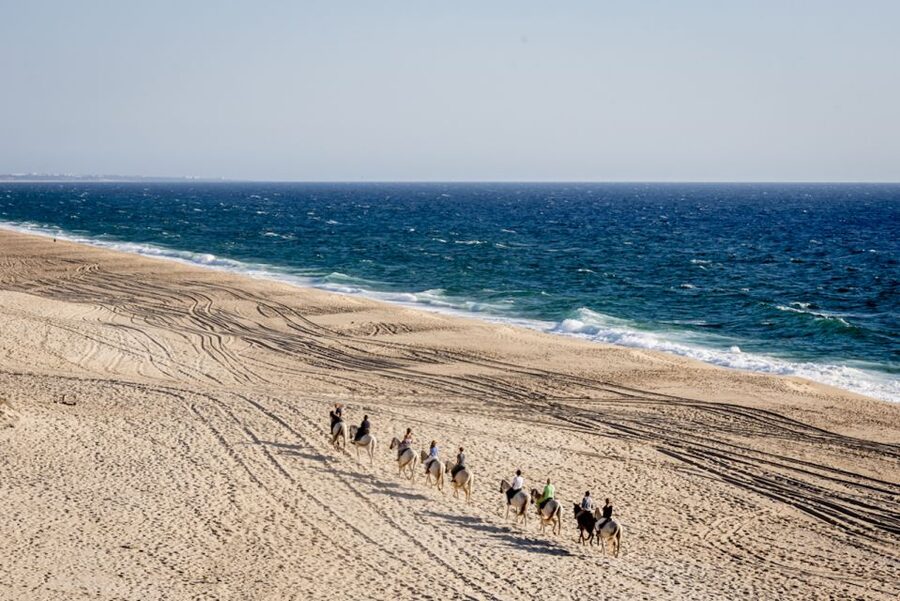 Melides: Horse Riding on the Beach with Wine Tasting - Should You Book Melides Horse Riding?