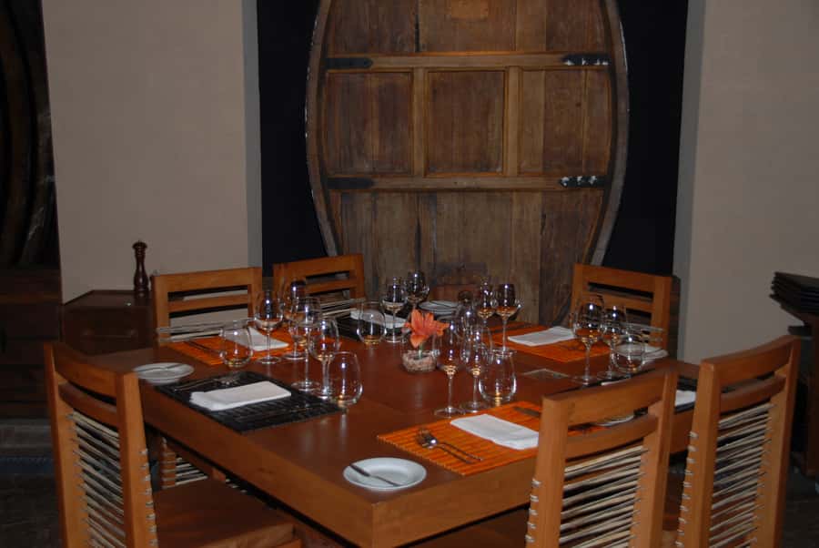 Mendoza: Full Day Wine Tour with 3 Course Lunch - Tasting Mendoza’s wines at the source