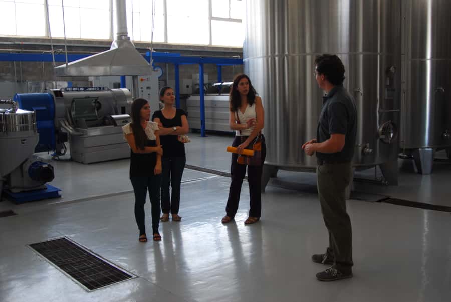 Mendoza: Full Day Wine Tour with 3 Course Lunch - The three-course lunch and the Salentein picnic option