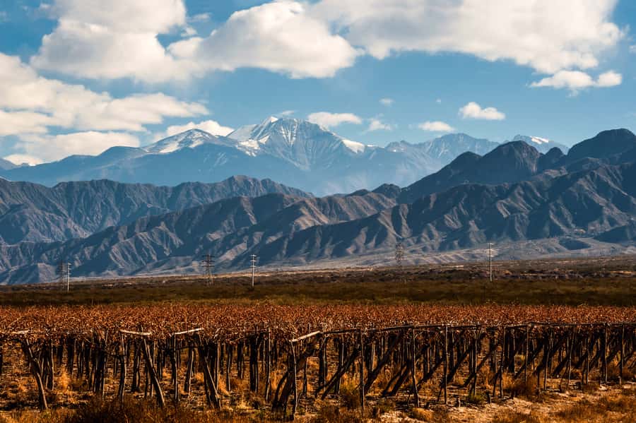 Mendoza: Full Day Wine Tour with 3 Course Lunch - Choosing between Maipú, Luján de Cuyo, and Valle de Uco