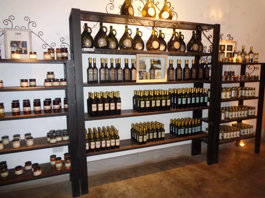 Mendoza: Half-Day Wine Tour with Tastings - Why Mendoza Needs Irrigation
