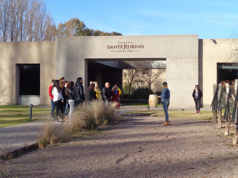 Mendoza: Half-Day Wine Tour with Tastings - Maipú and Luján de Cuyo: Two Wine Areas, One Tour