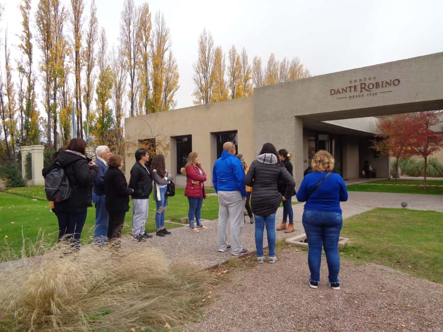 Mendoza: Half-Day Wine Tour with Tastings - The First Winery: From Grape to Bottle