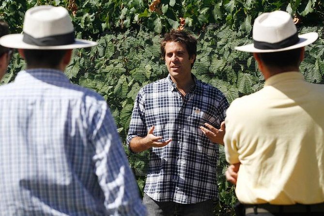 Mendoza Hop-On Hop-Off Wine Tour - How the long morning pickup works