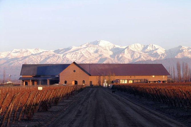 Mendoza Hop-On Hop-Off Wine Tour - What happens at the wineries
