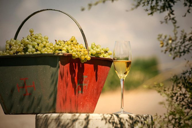 Mendoza Hop-On Hop-Off Wine Tour - The transport tradeoff: safe, useful, and not always smooth